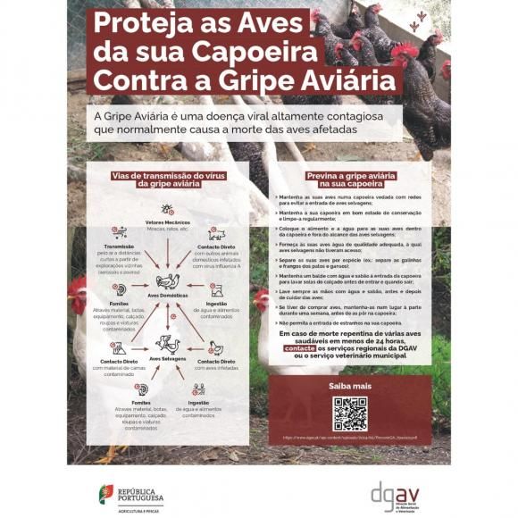 GRIPE AVIÁRIA – ZONA DE RESTRIÇÃO SANITÁRIA NA CHAMUSCA 