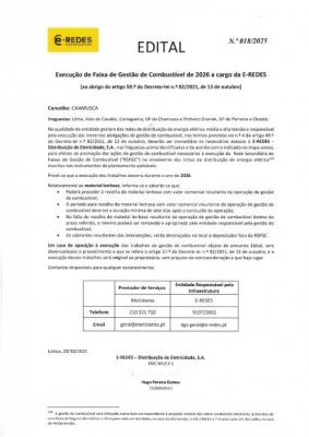 E-REDES vai realizar trabalhos de gestão de combustível no concelho da Chamusca em 2026