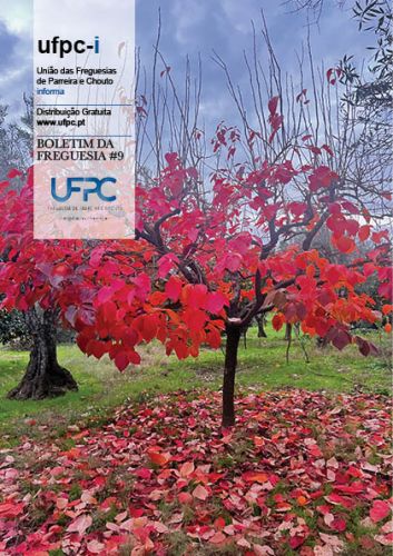UFPC Informa nº9